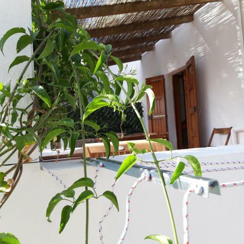 Casa Vacanza Valacca