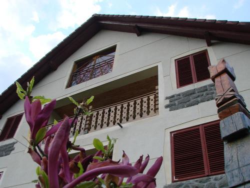 Hostal Pension Magnolia 1