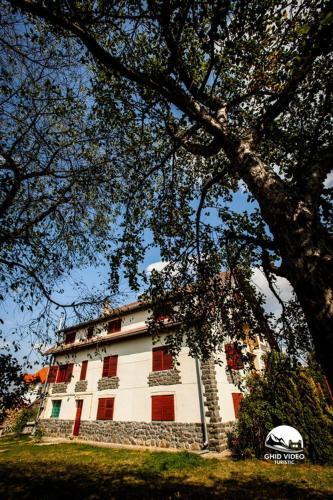 Hostal Pension Magnolia 1