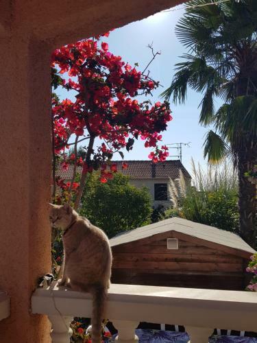 Bed & Breakfast Chez Melissa