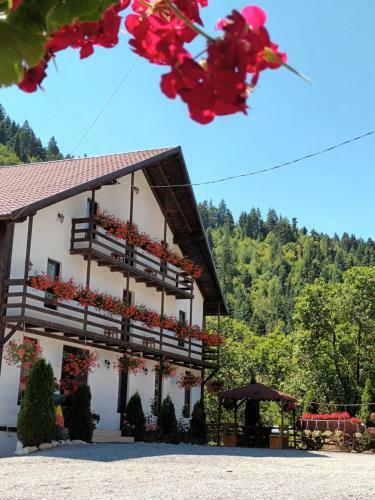 Agroturismo Casa Ursului