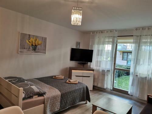 Apartamento ?winouj?cie Zdrojowa