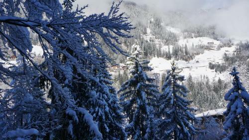 Apartamento Appartements Alpenblick