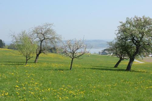 Agroturismo Baby- Und Kinderhof Aicherbauer
