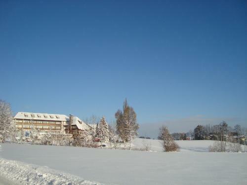 Hotel Walkner