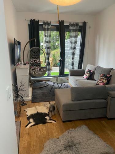 Bjelasnica White Apartmani