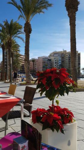 Apartamento Villa Maria - 200 Meters From The Beach