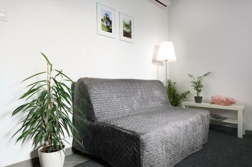 Apartamentos Floyd Room