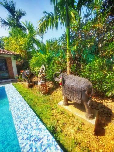 Om Gravity Resort