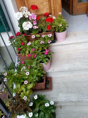 Apartamento Soluna