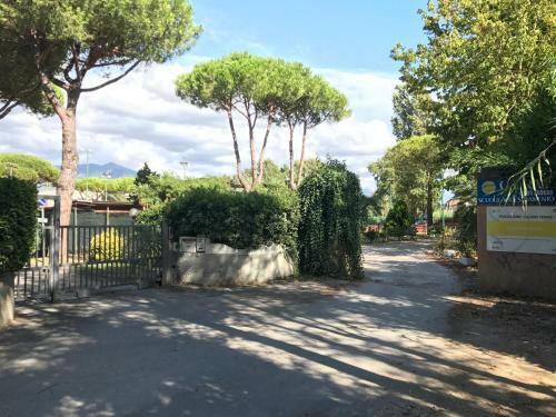 Apartamento Casa Vacanze Bastogi A Marina Di Massa