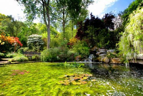 Pinetum Gardens Retreats