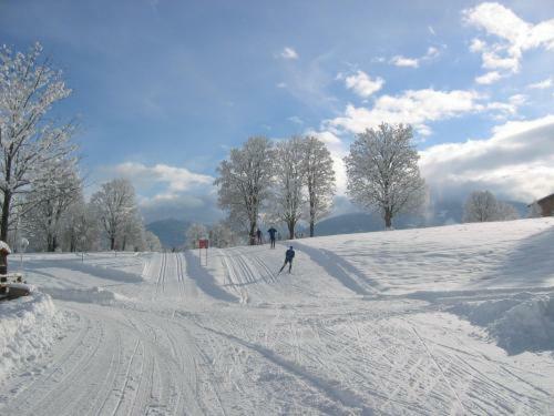 Hostal Alpenbad