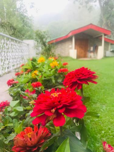H.m.h Lodges & Hotel Resort
