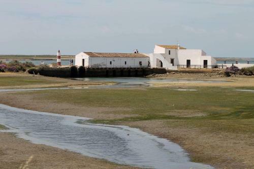Apartamento Brisas Da Ria