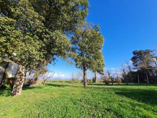 Bed & Breakfast Guesthouse L'acquarello