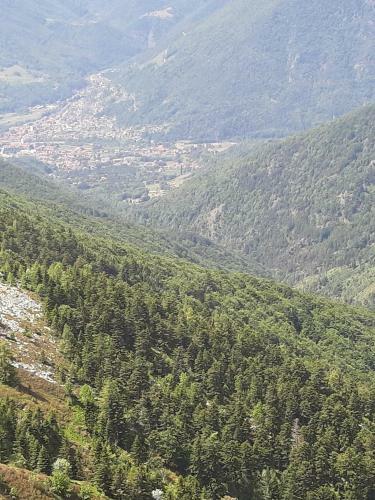 Apartamento La Meisun Di Don