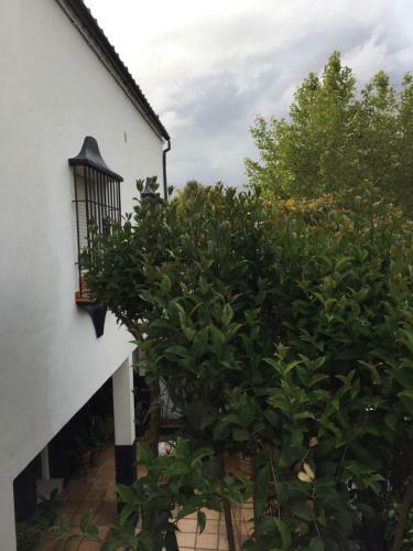 Casa Alb�itar