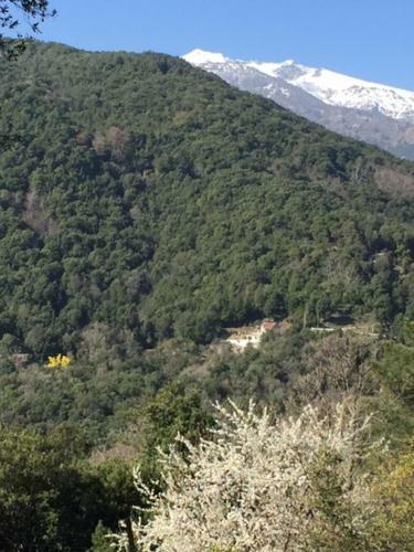 Suartone Di Fium'orbu