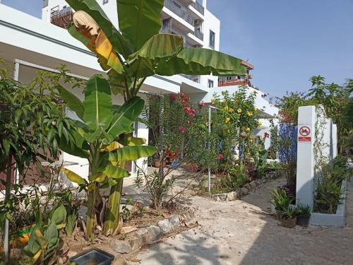 Apartamento Mango Groove Residence