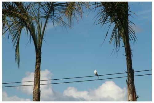 Bed & Breakfast Posada El Campo