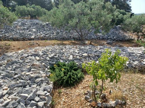 Agroturismo Robinzonski Smje?taj Tiha Draga