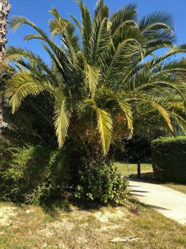 Apartamento Le Noisetier