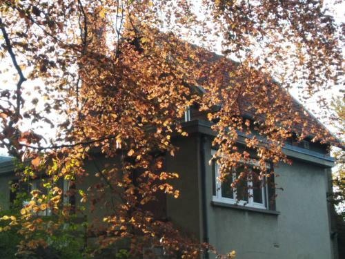 Le Domaine Des Roches, Auberge Collective