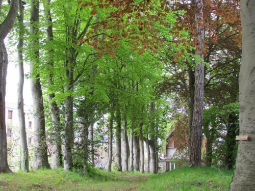 Le Domaine Des Roches, Auberge Collective