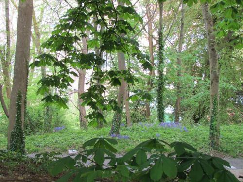 Le Domaine Des Roches, Auberge Collective