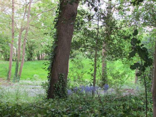 Le Domaine Des Roches, Auberge Collective