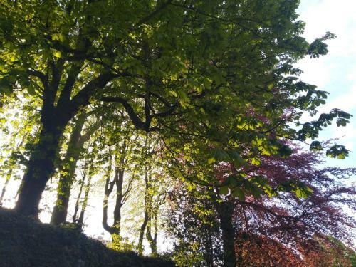 Le Domaine Des Roches, Auberge Collective