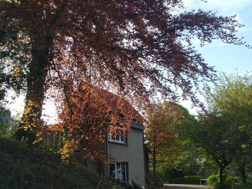 Le Domaine Des Roches, Auberge Collective