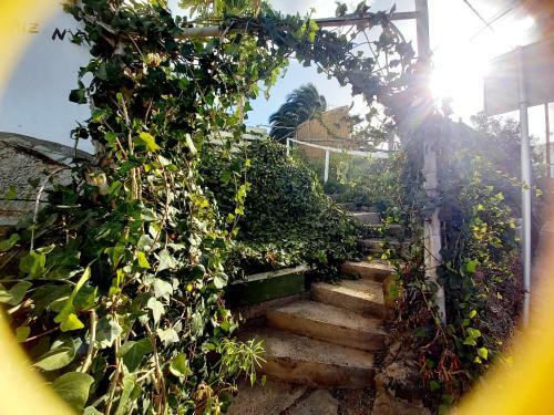 Apartamento Esencia Natural Casa Alma