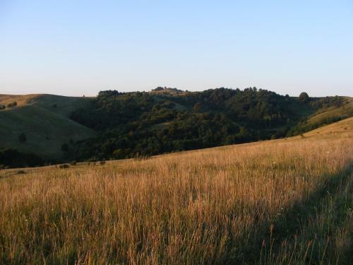 Bed & Breakfast Falub�r� Vend�gh�za