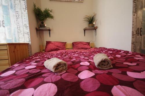Acacia Hostel