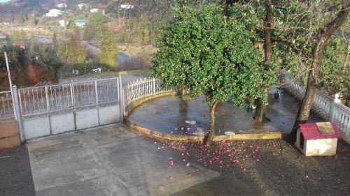 Apartamento Guest House Veli