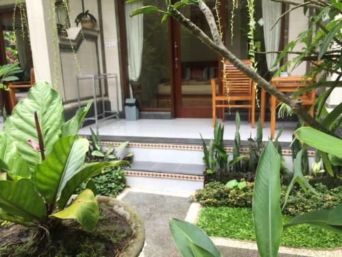 Blima Bali