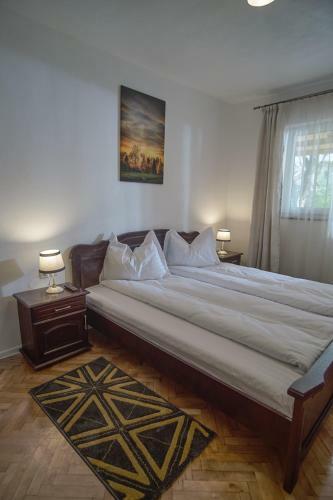 Hostal Pensiunea Selena