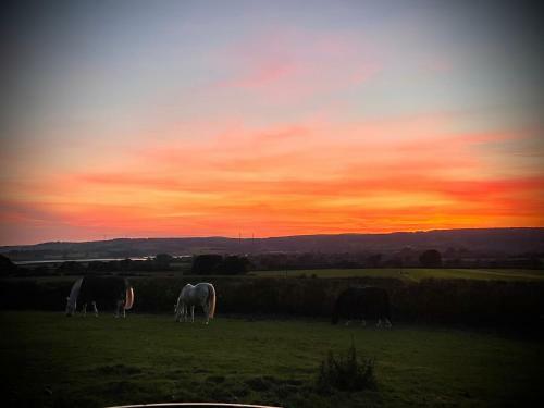 Hillsmore Cottage Dog Friendly