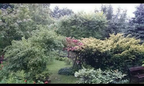 Bed & Breakfast Agroturystyka W Ogrodach
