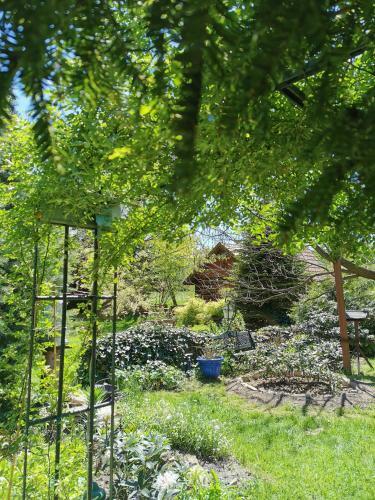 Bed & Breakfast Agroturystyka W Ogrodach