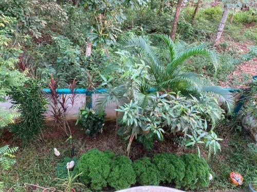 Apartamento Blue Sophy Residency