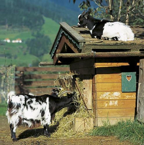 Apartamento Landhaus Liechtenstein