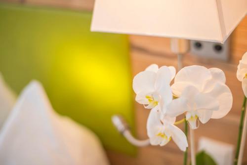 Hostal Pension Alpenblick
