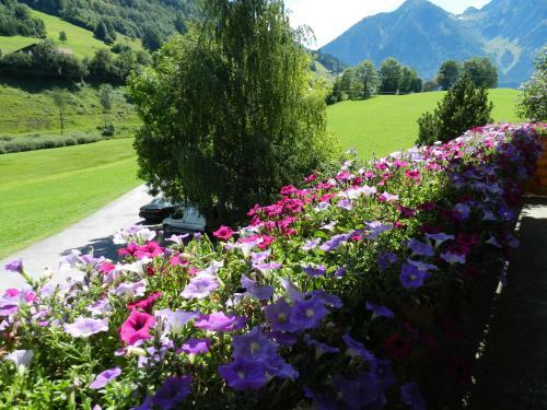 Hostal Pension Alpenblick