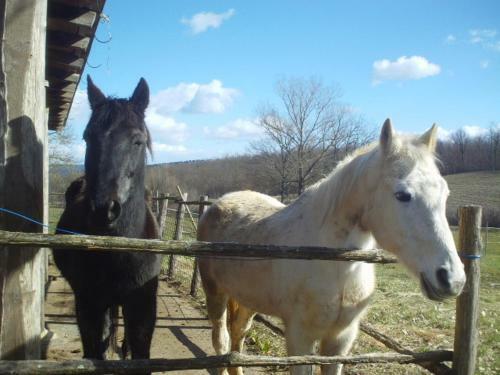 Agroturismo Farm House Il Fondaco