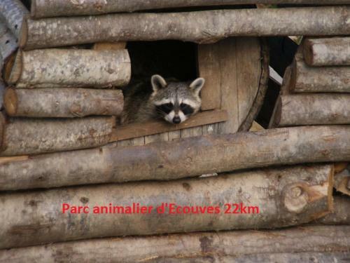 Bed & Breakfast Haras De La Croix D'argent