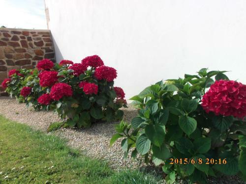 Hostal Chambre D'h�tes De La Vieux Ville