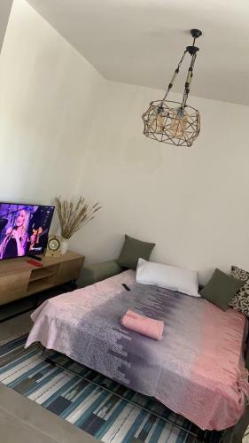 Envy Valamar Apartment